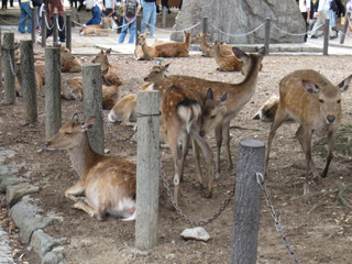 Photo_15
