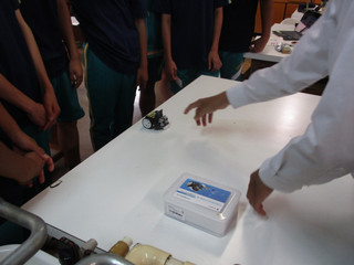 Photo_3