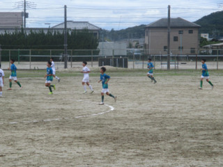 Photo_3