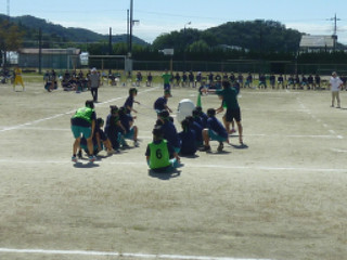 Photo_8